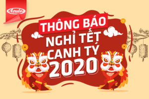 mũ bảo hiểm andes